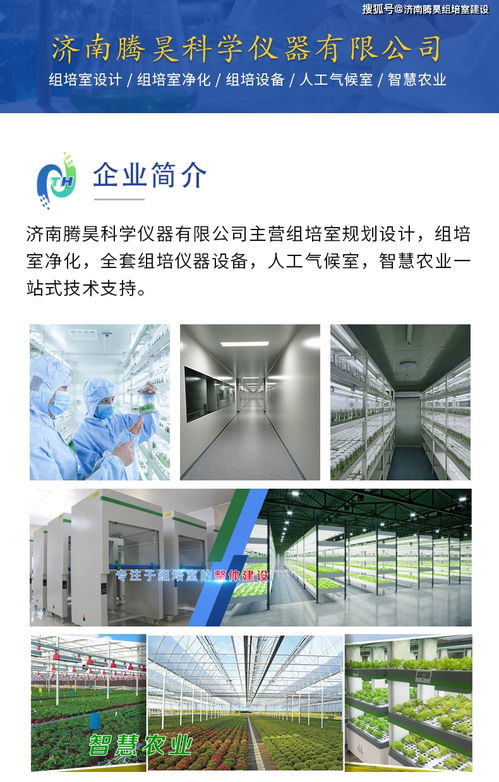 馬鈴薯組培苗與微型薯快繁技術(shù) 渭源與定西組培室的技術(shù)推廣服務(wù)